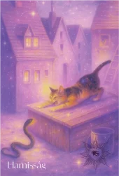 card-5