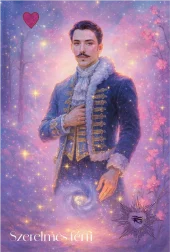 card-13