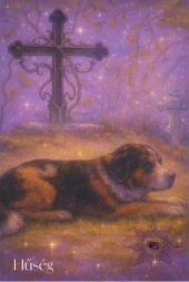 card-26